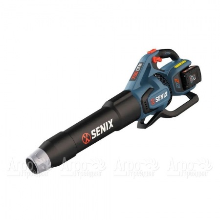 Воздуходувка аккумуляторная Senix BLAX2-M2-EU  в Барнауле