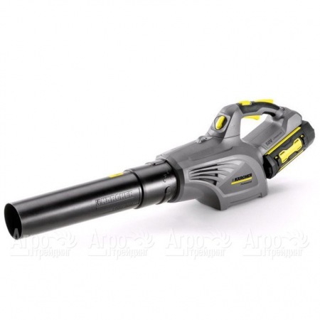 Воздуходувка аккумуляторная Karcher LB 850 Bp в Барнауле