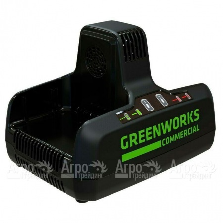 Быстрое зарядное устройство GreenWorks G82C2  в Барнауле