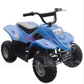 ATV 211  в Барнауле