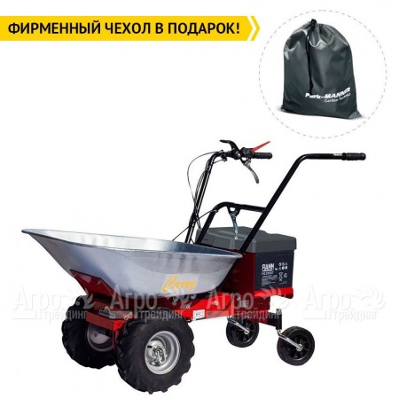 Самоходная тележка Eurosystems Carry Electric 300W-24V в Барнауле