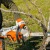 Аккумуляторная пила Stihl MSA 220 C-BQ-14" (без аккумулятора и зарядного устройства) в Барнауле