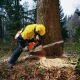 Бензопила Stihl MS 880-47&quot; в Барнауле