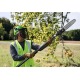 Высоторез аккумуляторный GreenWorks PS102T (без аккумулятора и зарядного устройства) в Барнауле